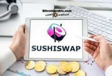 عملة سوشي