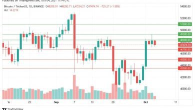 سعر البيتكوين هل تواصل