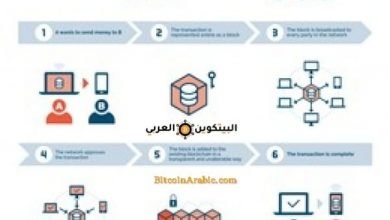كيف تعمل العملات الرقمية