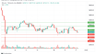 سعر البتكوين هل