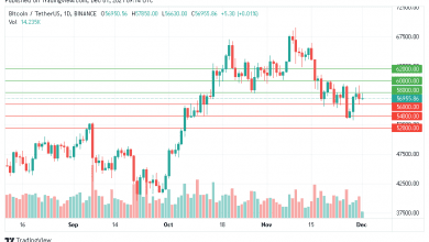 سعر البتكوين يقدم