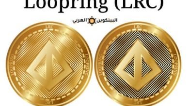 عملة Loopring
