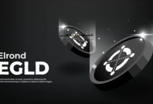مشروع عملة EGLD