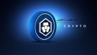 ما هي عملة كريبتو