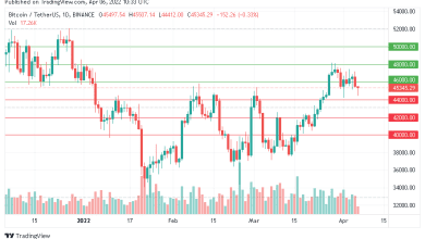 استمرار سعر البيتكوين في الصعود