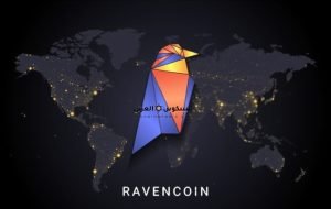 عملة RVN رمز RAVENCOIN