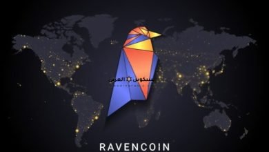 عملة RVN رمز RAVENCOIN