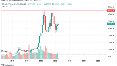 يمكن أن يرتفع سعر البيتكوين