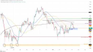 يُظهر سعر البيتكوين قوته