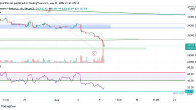 سعر البيتكوين يمكن أن يرتد