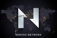 عملة CKB رمز Nervos Network