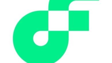 عملة FLOW الرقمية