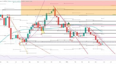 سعر البيتكوين يحترم خط الاتجاه الهبوطي