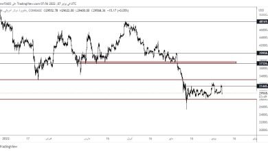 سعر البيتكوين يستقر