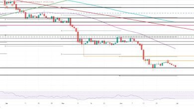 يقترب سعر البيتكوين من دعم