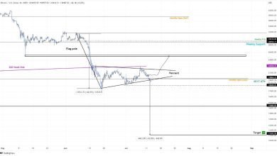 يُظهر سعر البيتكوين اختراقًا هبوطيًا