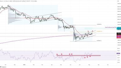 سعر البيتكوين يدعم فكرة التصحيح