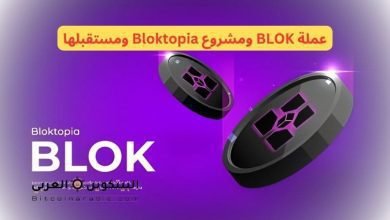 عملة BLOK ومشروع Bloktopia ومستقبلها