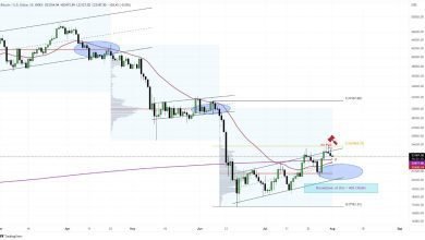 يتباطأ زخم سعر البيتكوين
