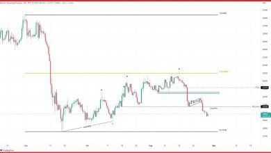 يحاول سعر البيتكوين التعافي