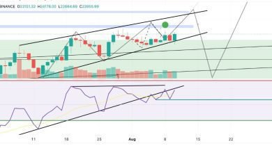 يختبر سعر البيتكوين