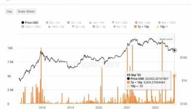سعر البيتكوين تفيض الحيتان