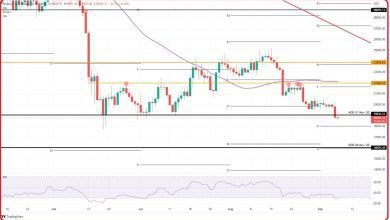 ينخفض سعر البيتكوين إلى أقل من 20000 دولار