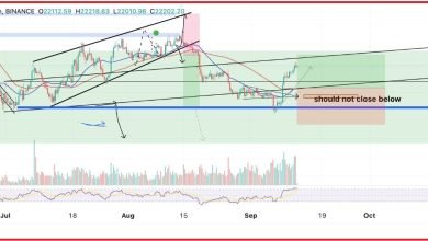 يُظهر سعر البيتكوين
