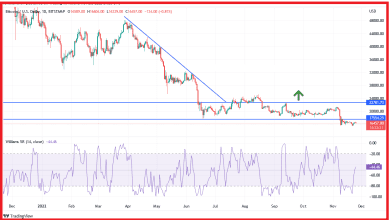 سعر البيتكوين مسار الهبوط لا يزال الاقوى