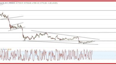 توقع سعر البيتكوين بعد تقرير مؤشر أسعار المستهلك (CPI)