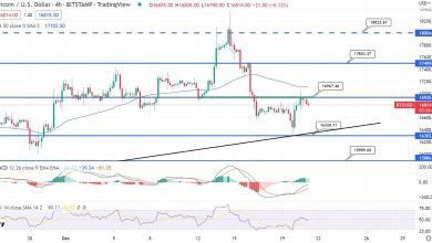 توقعات سعر البتكوين ثقة المستهلك CB من النقاط البارزة