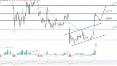 توقع سعر البيتكوين عد مكاسب هذا الأسبوع