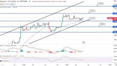 توقعات سعر البتكوين هل سيرتفع