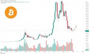 توقعات سعر البيتكوين إليك ما يعتقده الثيران والدببة