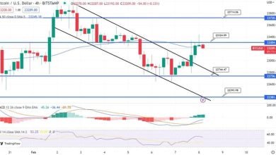 توقعات أسعار البيتكوين BTC