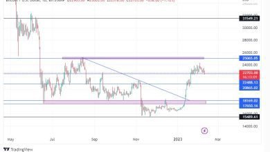 توقعات سعر البتكوين ترتفع