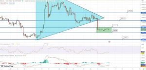 توقع سعر البيتكوين ماذا