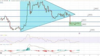 توقع سعر البيتكوين ماذا