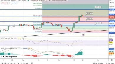 توقعات سعر البيتكوين تجربة