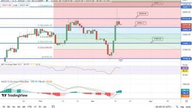 توقعات سعر البيتكوين يجد دعمًا