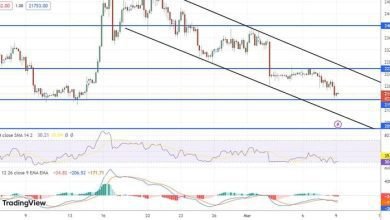 مستقبل عملة البيتكوين تحذير الفيدرالي