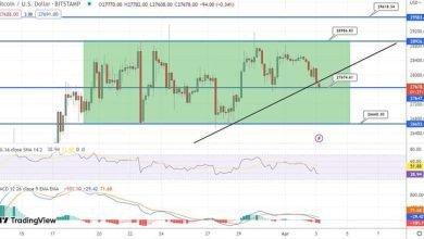 توقع سعر البيتكوين