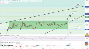 توقع سعر البيتكوين BTC