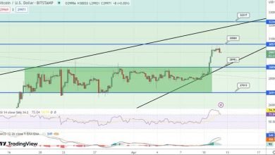 توقع سعر البيتكوين BTC