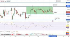 توقع سعر البيتكوين إرتفاع