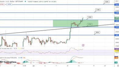توقع سعر البيتكوين ارتفعت BTC