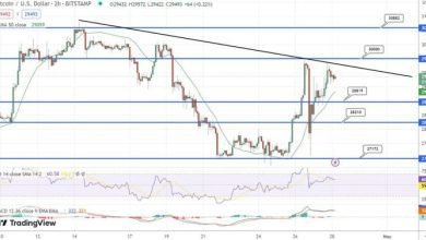 توقع سعر البيتكوين حيث ارتفعت