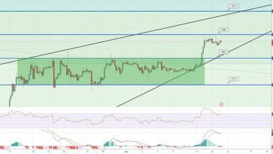 توقع سعر البيتكوين هل