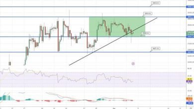 توقع سعر البيتكوين و ارتفاع DOGE