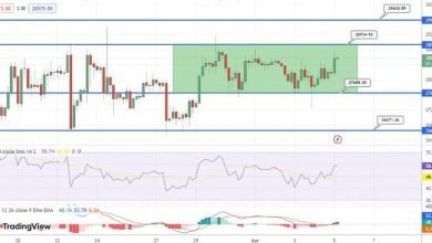 توقعات أسعار البيتكوين